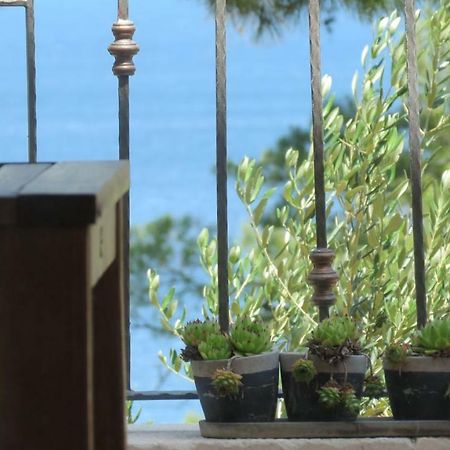 Vila Familia Hvar Vrboska Exterior foto